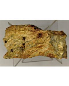 Oxyplumboromeite (Bindheimite); Djebel Nador, Constantione Prov., Algeria; MM