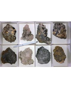 Galena, Pyrite, Arsenopyrite, Calcite, Rhodochrosite etc. sulphide crystals on matrix, Trepca, Kosovo, 1 flat with 8 specimen