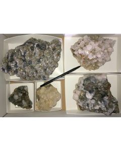 Galena, Pyrite, Arsenopyrite, Calcite, Rhodochrosite etc. sulphide crystals on matrix, Trepca, Kosovo, 1 flat with 5 specimen