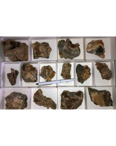 Chalcopyrite crystals on Dolomite crystals (!), Kamsdorf, Thüringen, D, 1 flat