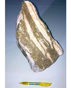 Pyrite in Dolomite; Lengenbach, Switzerland; MS