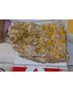Wulfenite xls; Hilltop mine, Cochise Co, AZ, USA; Cab 