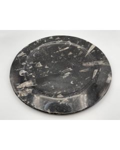 Orthoceras plate, round, black, app. 25 cm, 1 piece