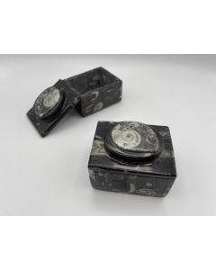 Ammonite box, black, with Orthoceras chalk, 5x8 cm, rectangular, with lid, 1 piece