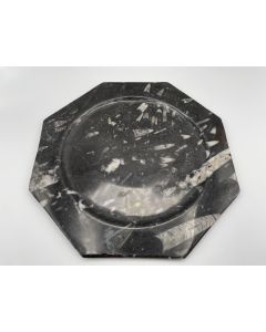 Orthoceras plate, octogonal, black, app. 25 cm, 1 piece