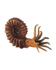 Pleuroceras Ammonite; Ammonite animal from hard rubber; 10 Stück
