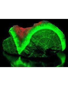 Willemite; UV!!, Zambia; 1 kg