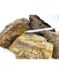 Fossilized petrified wood; Sumatra, Indonesia; 100 kg