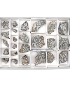 Chromium actinolite (xx); Wannigletscher, Binntal, Switzerland, from Strahler Gorsatt; 1 flat 