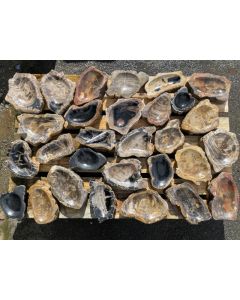 Fossilized petrified wood; shell, partially polished, "mix", Sumatra, Indonesia; 1 pallet
