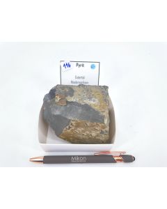Pyrite xls; Extertal, Lower Saxony, Germany; Cab 