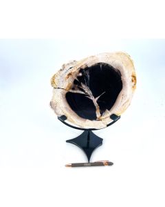Wooden disc, fossil/petrified wood, small, polished on both sides with a metal stand; Indonesia