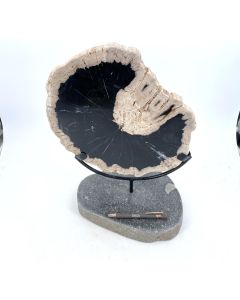 Wooden disc, fossil/petrified wood, large, polished on both sides with a stone/metal stand; Indonesia