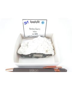 Apophyllite - (KF) xls; Bombay Quarry, India; Gerd Tremmel collection; Cab (221)