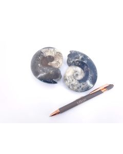 Goniatites, polished both sides, app. 8 cm, Morocco, 1 piece