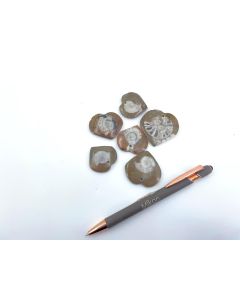 Ammonites, heart shape, 2-4 cm with hole as a pendant,1 piece