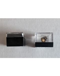 USA Micromount Box; clear, 1 x 1 x 3/4 inch (24 x 24 x 20 mm),  100 boxes. 