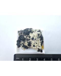 Schorlomite xln; Gabbro Bruch, Bad Harzburg, Harz, Germany; Min (373)