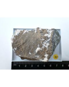Nickeline; Cobalt, Ontario, Canada; Scab (415)