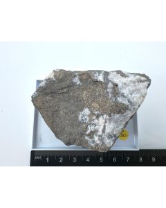 Nickeline; Cobalt, Ontario, Canada; Scab (416)