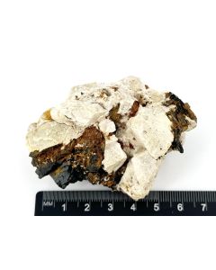 Niobiophyllite xls; Mt. Malosa, Malawi; Scab (600)