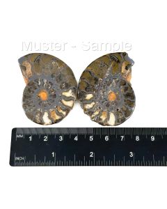 Ammonites pairs, polished; Morocco; 1 pair