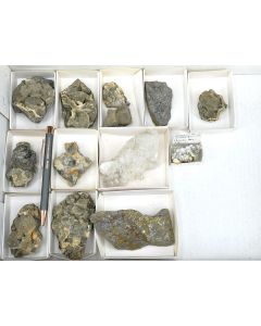 Pyrrhotite xls, Chalcopyrite xls; St. Eulalia, Mexico; 1 lot with 12 pieces, unique