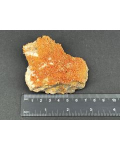 Vanadinite xls; J.C. Holmes Mine, Patagonia, Arizona, USA; Gerd Tremmel Collection; Scab; unique piece