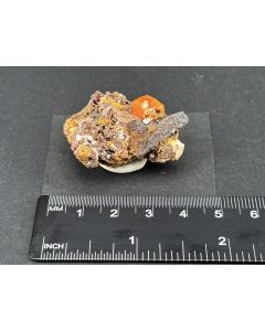 Wulfenite xls; Ojuela Mine, Mexico; Gerd Tremmel collection; Min; unique piece