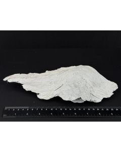 Chrysotile; Silbach, Hildfeld, Germany; large Cab; single piece