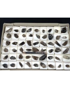 Smoky Quartz xls; Erongo, Namibia; 1 unique flat (8)