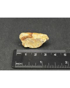 Zircon Xl; Mt. Malosa, Zomba, Malawi; MM; unique piece
