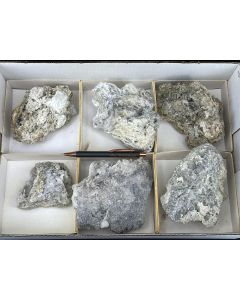 Nifontovite xls; Charcas, Mexico; 1 flat; unique (87)

