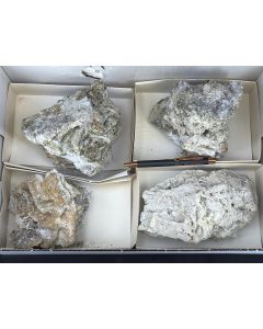 Nifontovite xls; Charcas, Mexico; 1 flat; unique (72)

