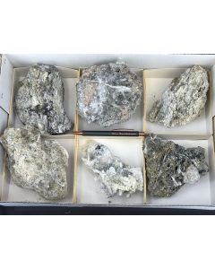 Nifontovite xls; Charcas, Mexico; 1 flat; unique (78)
