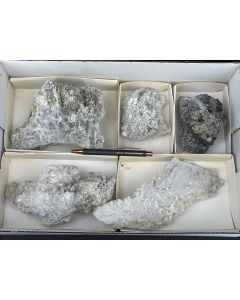 Nifontovite xls; Charcas, Mexico; 1 flat; unique (85)
