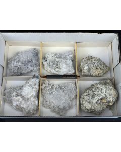 Nifontovite xls; Charcas, Mexico; 1 flat; unique (86)
