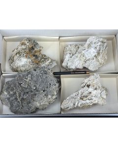 Nifontovite xls; Charcas, Mexico; 1 flat; unique (104)
