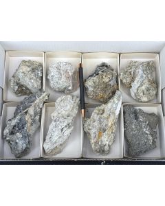 Nifontovite xls; Charcas, Mexico; 1 flat; unique (103)
