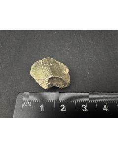 Pyrite xl; Merelani, Tanzania; MM; unique piece (14)