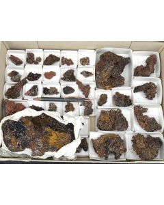 Hopeite, Tarbutitte xls; Zambia; 1 flat; unique





