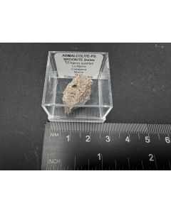 Armalcolite xls; Aljorra quarries, La Aljorra, Cartagena, Murcia, Spain; MM

