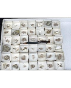 Meyerhofferite xls; Monte Blanco Mine, Death Valley, California, USA; 1 lot with 42 pieces; unique 