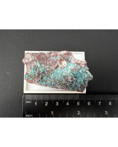 Ajoite xls; New Cornelia Mine, Ajo, AZ, USA; Scab; unique piece