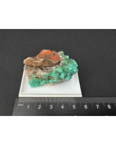 Adamite xls; Hilarion Mine, Lavrion, Greece; Min; unique piece