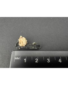 Aegirine xls; Mt. Malosa, Zomba, Malawi; TN; unique piece