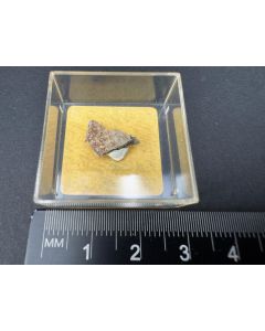 Abernathyite xls; Lodève, Hérault, France; TN; unique piece
