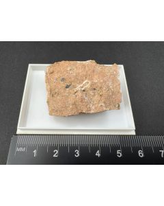 Ancylite-(Ce) (xls); Dark Star Claim, MT, USA; Min; unique piece
