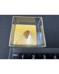 Ameghinite xl; Tincalayu, Salta, Argentina; TN; unique piece
