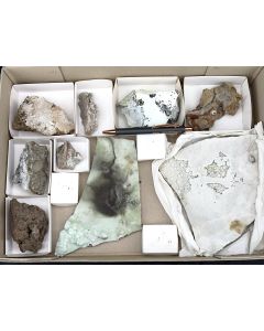 Sinter; Büschensberg, Elbingerode, Harz Mountains, Thuringia, Germany; 1 flat; unique 